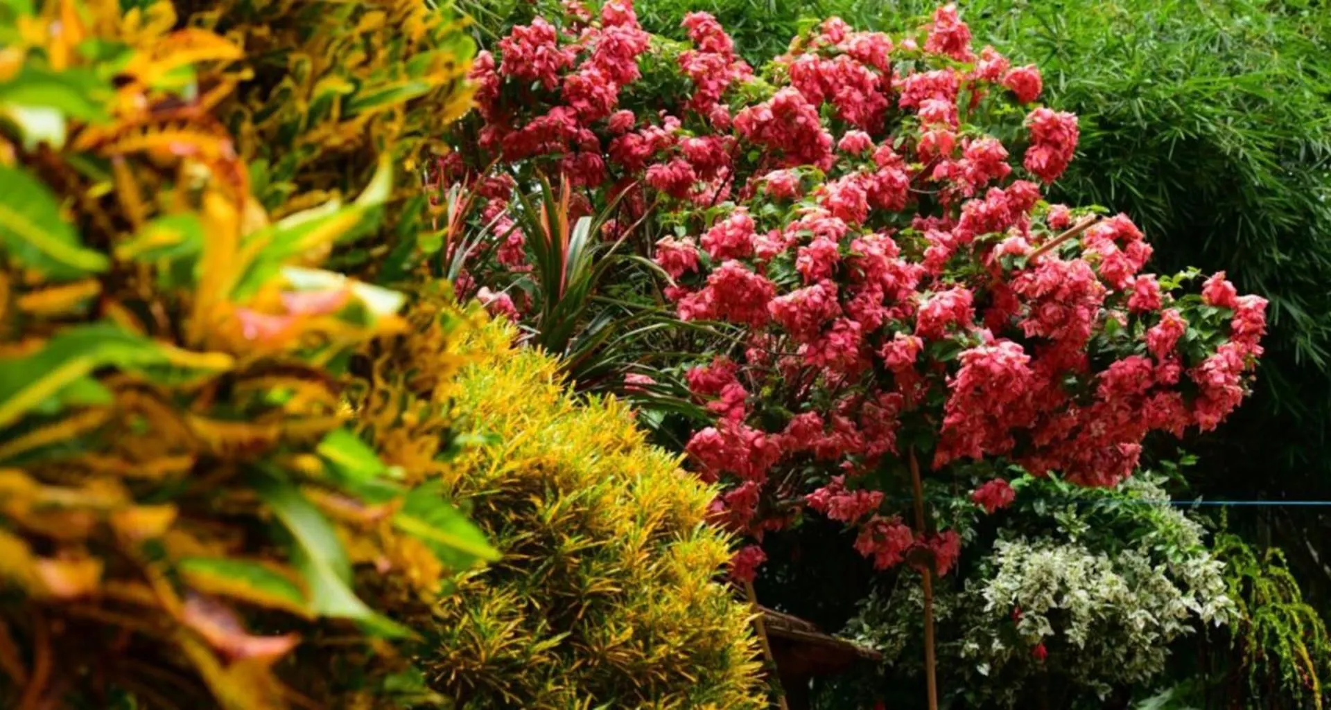 Greensvista Wayanad Ac Pillar Homestay Near Natural Stream Sultan Bathery 0*,  India