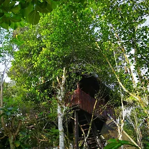  Resort Greens Tree House & Wood House
