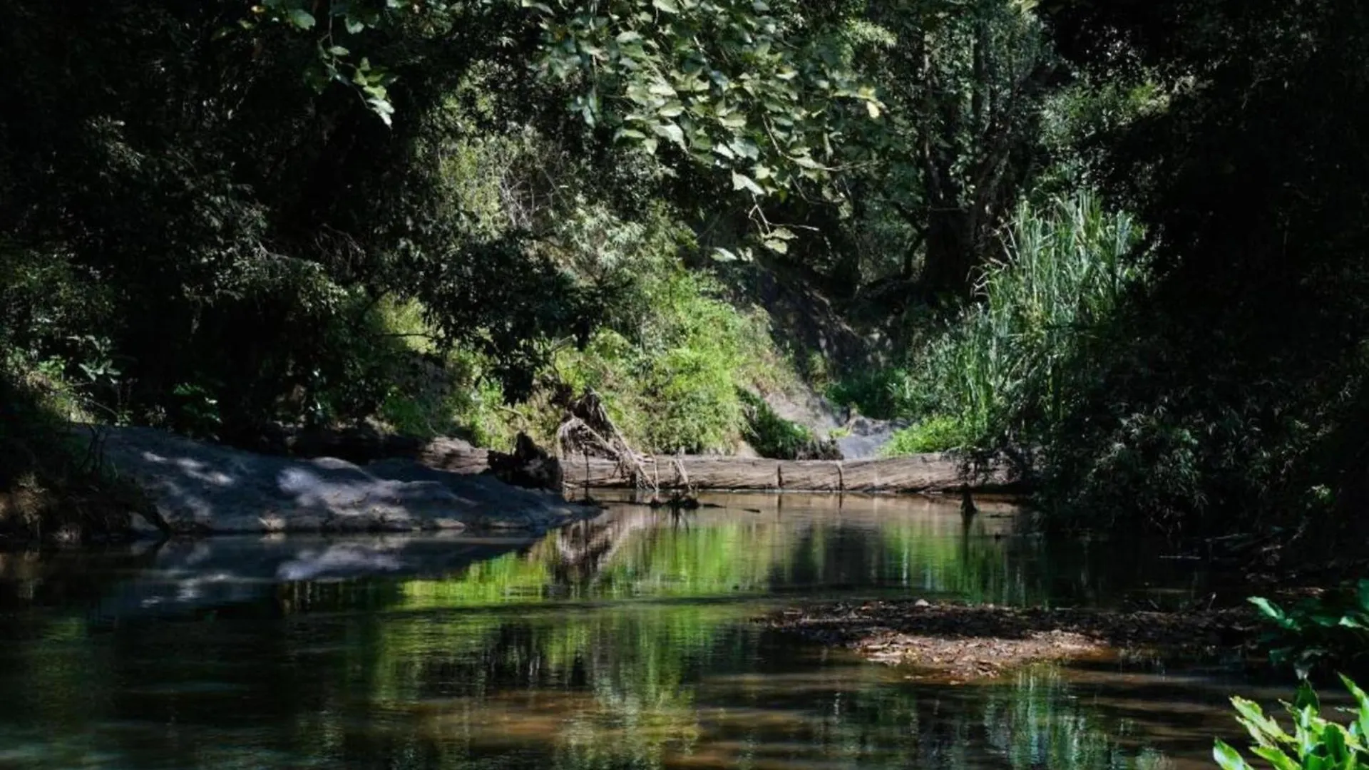 Greensvista Wayanad Ac Pillar Homestay Near Natural Stream Sultan Bathery 0*,  India