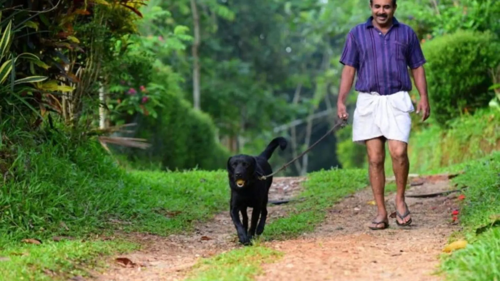 Greensvista Wayanad Ac Pillar Homestay Near Natural Stream Sultan Bathery