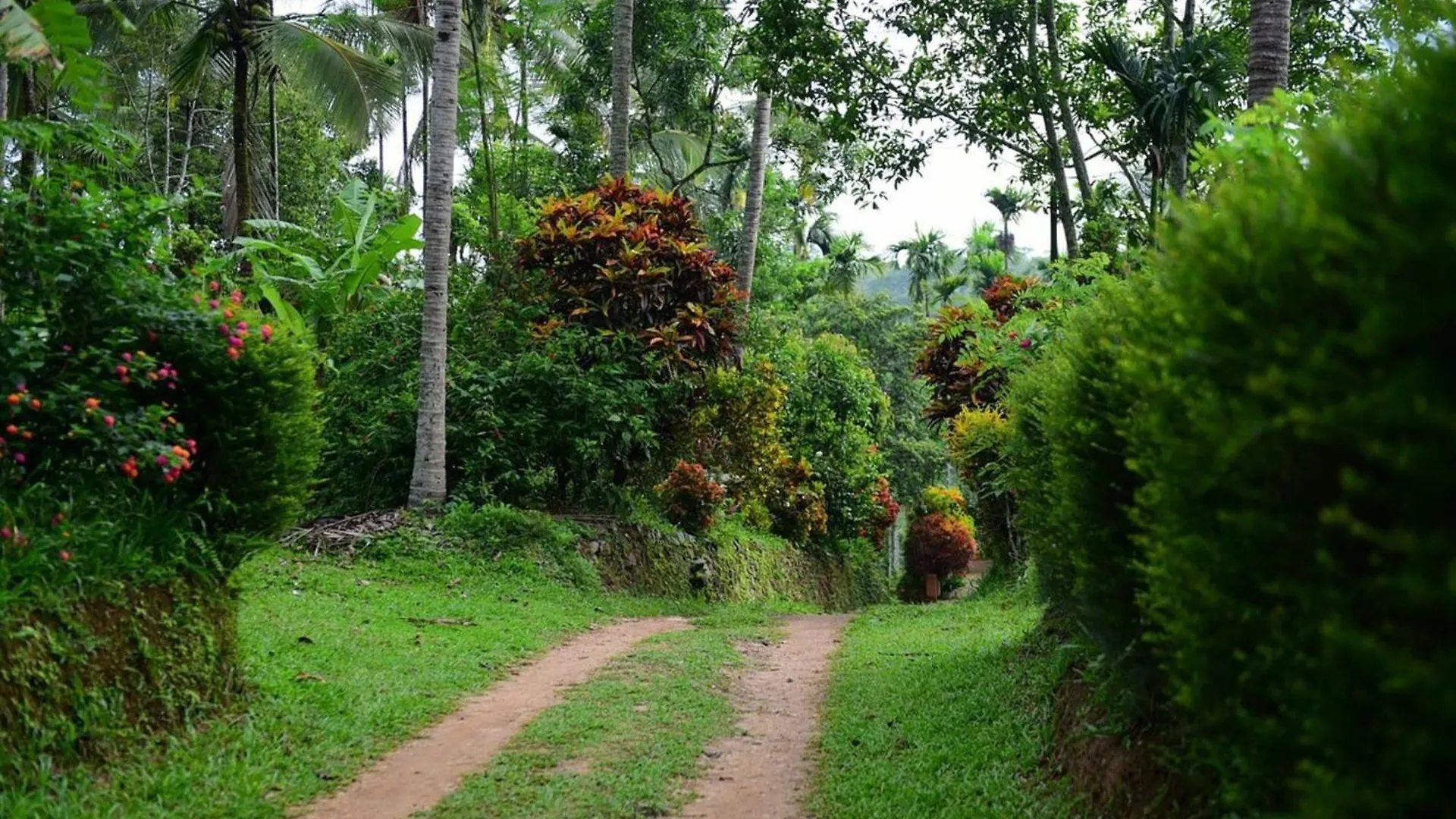Greensvista Wayanad Ac Pillar Homestay Near Natural Stream Sultan Bathery Resort